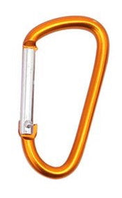 Carabiner keychain