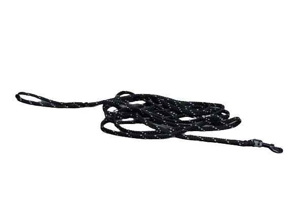 Dog leash 10 meters