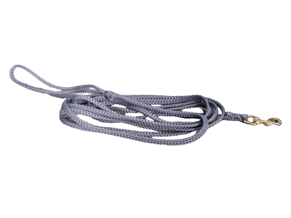 Dog leash 2 meters
