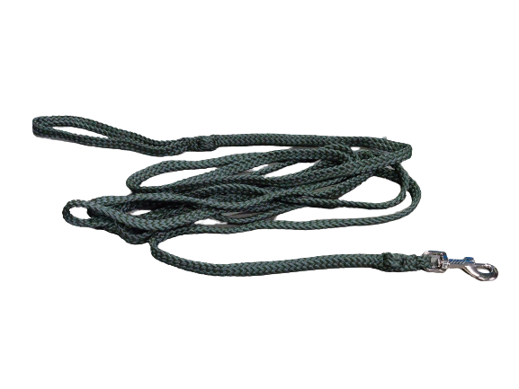 Dog leash 4 meters