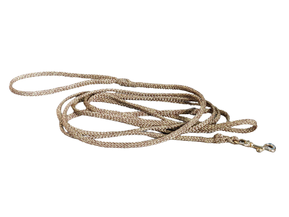 Gold dog leash 3 meters
