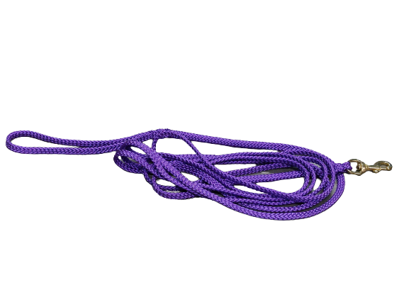 Purple dog leash 3 meters