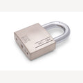 Padlock PRO-line 70 mm, different locking, removable shackle, 3 keys & security card, silver