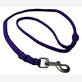 Dog leash 2 meters purple