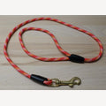 Dog leash 15 meters PP red/yellow/white with brass snap hook