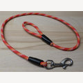 Hondenriem 3meter pp rond 8mm rvs musketonhaak