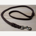Brown dog leash, 10 meters