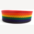 Band op rol regenboog 25 mm - 50 meter