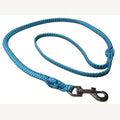 Dog leash 2 meters aqua